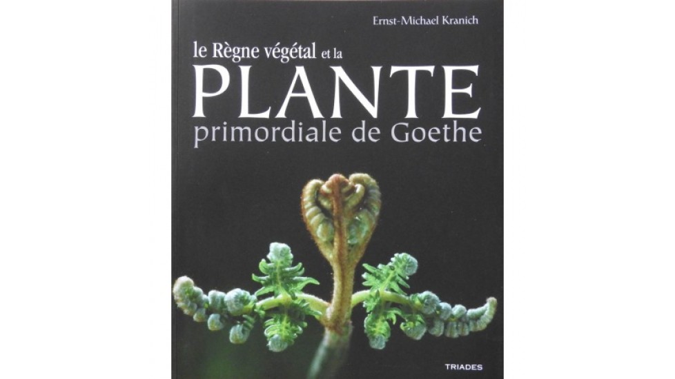 Le règne végétal et la plante primordiale de Goethe  