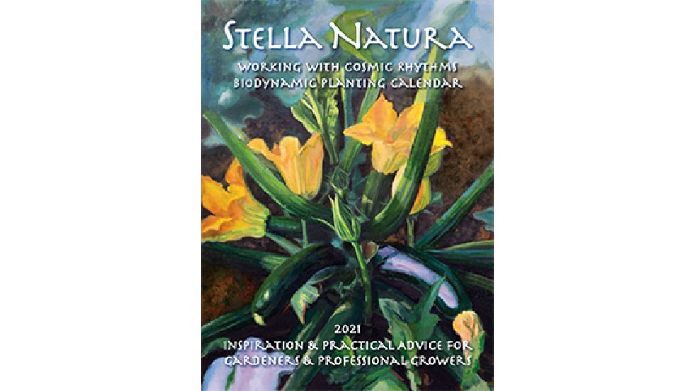 Stella Natura 2021 Biodynamic Planting Calendar