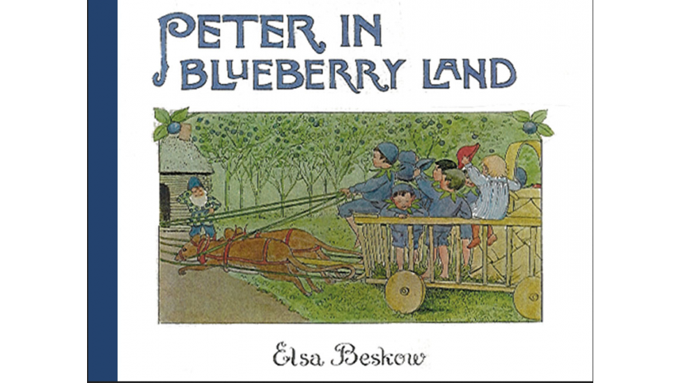Peter in Blueberry Land (mini)