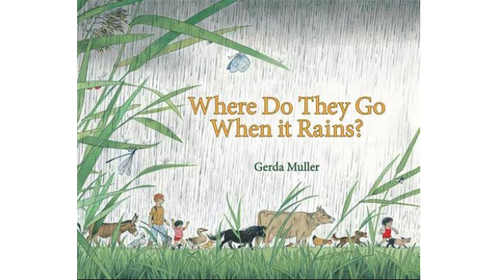 Where do They Go When It Rains?